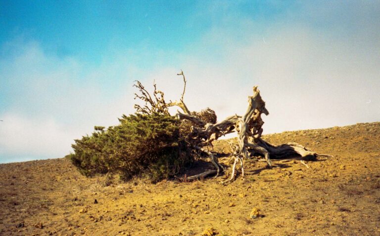 casaatlanticaelhierro-31